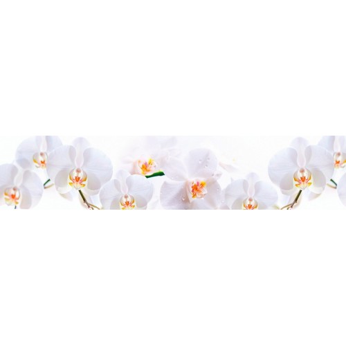 Панель ASP15 Орхидеи на белом 2800*610*6мм