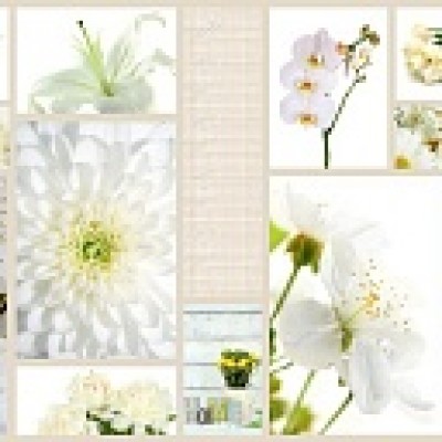 Панель AF27 Белые цветы 2800х610х6мм